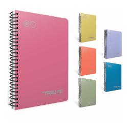 Gıpta Spiralli Plastik Kapak Defter Paw A4 80 YP Kareli -2080.63629