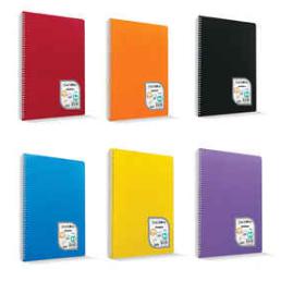 Çınar Colormaxi Spiralli Defter Plastik Kapak Kareli 72 YP A4 72/4 -73002